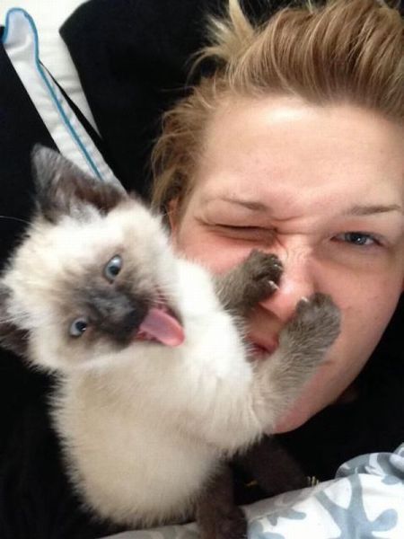 Прикольные картинки (148 фото)