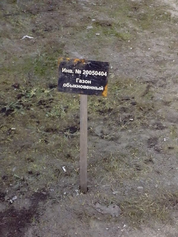 Прикольные картинки (148 фото)