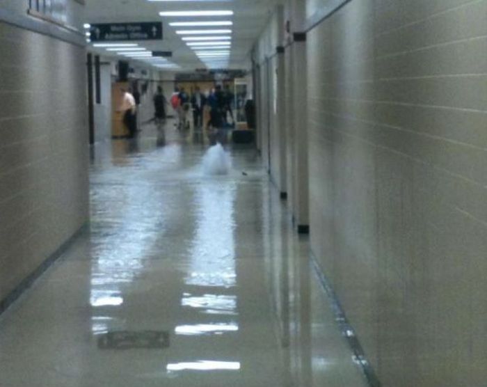 Прикольные картинки (148 фото)