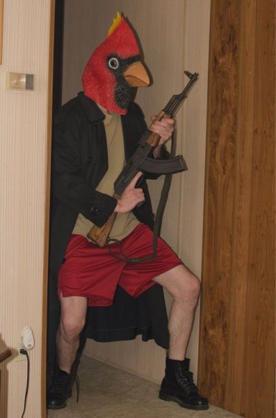 Прикольные картинки (148 фото)