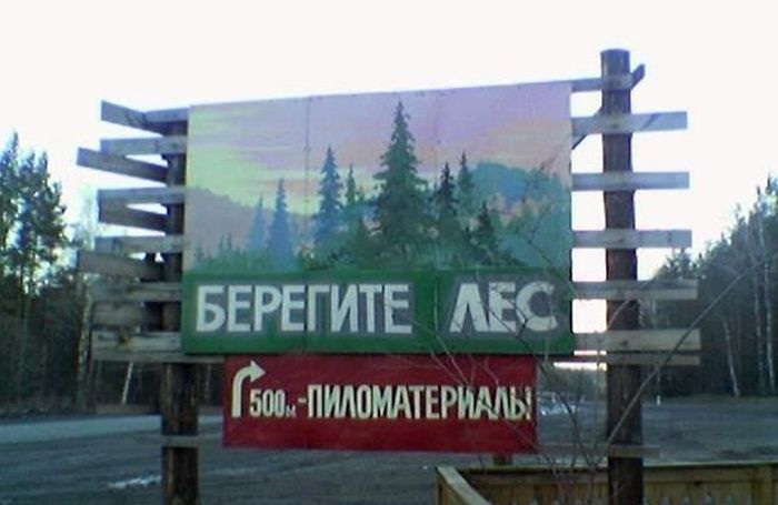 Прикольные картинки (162 фото)