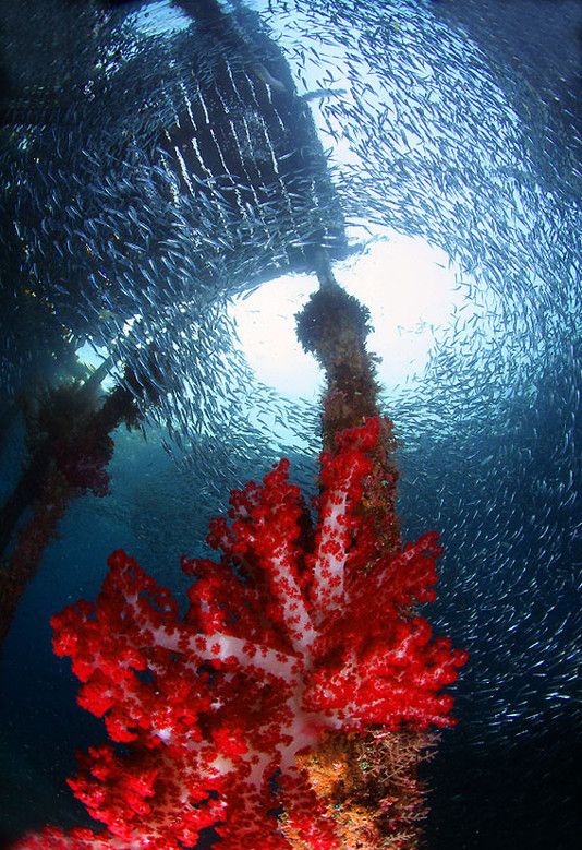 Прикольные картинки (162 фото)