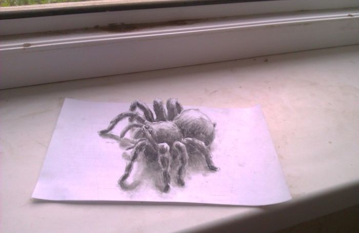 Прикольные картинки (162 фото)