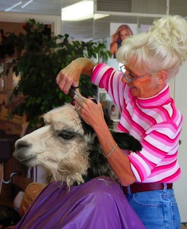 Прикольные картинки (162 фото)