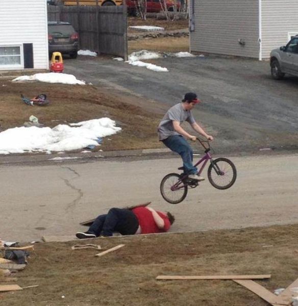 Прикольные картинки (162 фото)