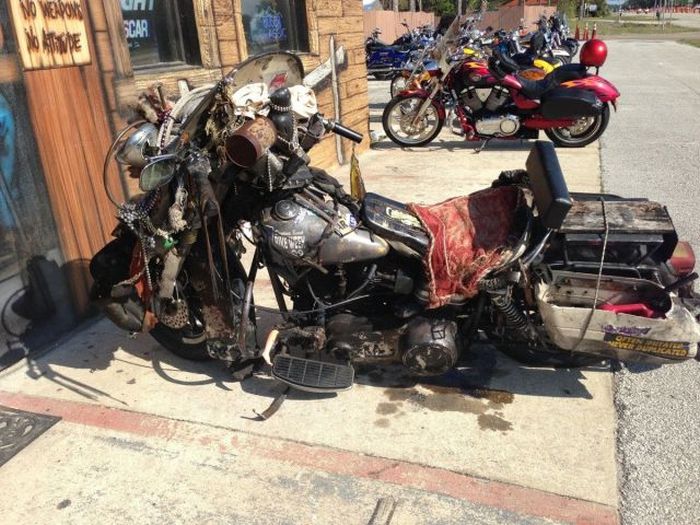 Прикольные картинки (162 фото)