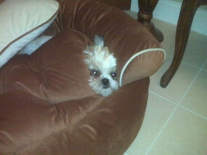 Прикольные картинки (116 фото)