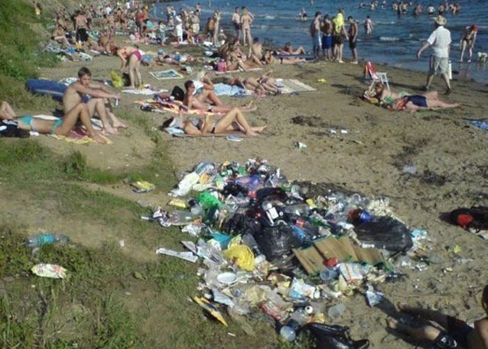 Прикольные картинки (116 фото)