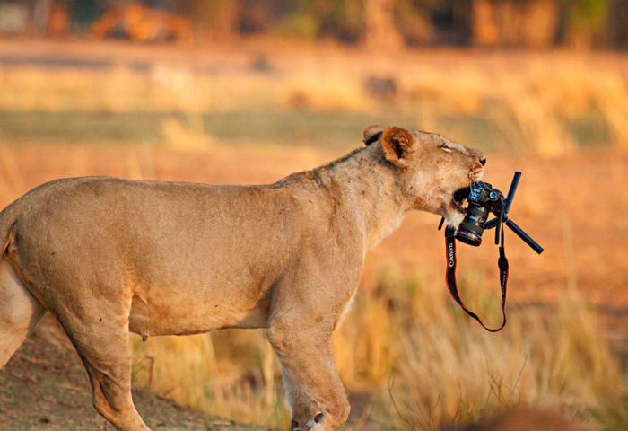 Прикольные картинки (116 фото)