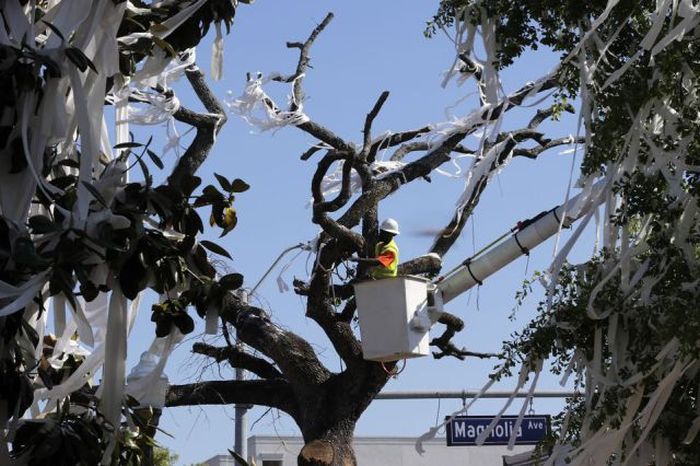 Прикольные картинки (116 фото)