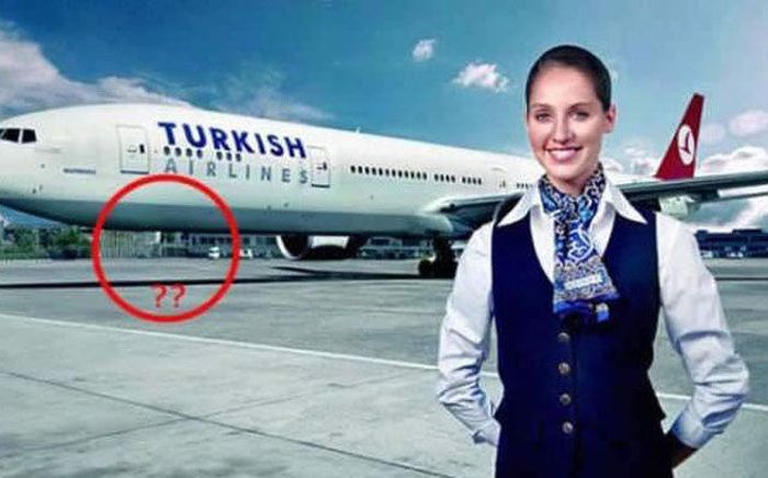 Прикольные картинки (116 фото)