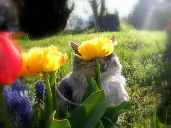 Прикольные картинки (116 фото)