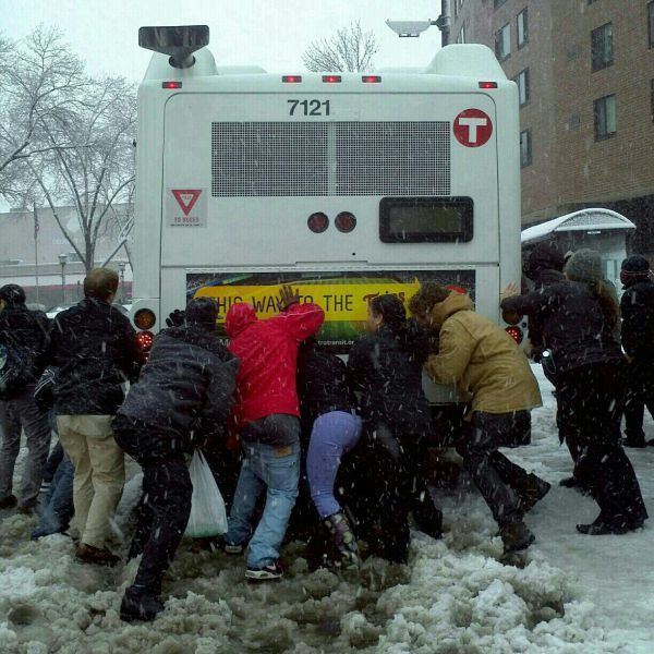 Прикольные картинки (111 фото)