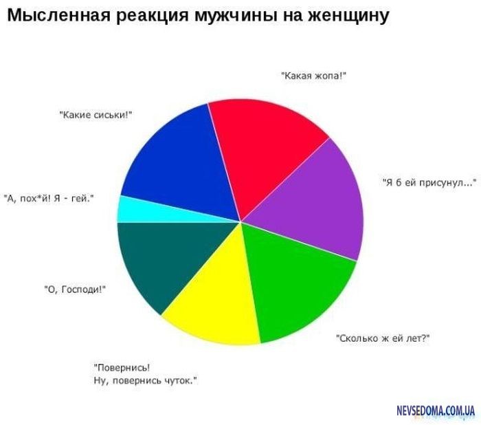 Часто какая. Диаграмма мужчины и женщины. Диаграмма умная красивая. Женщины статистика. Интересная статистика о женщинах.